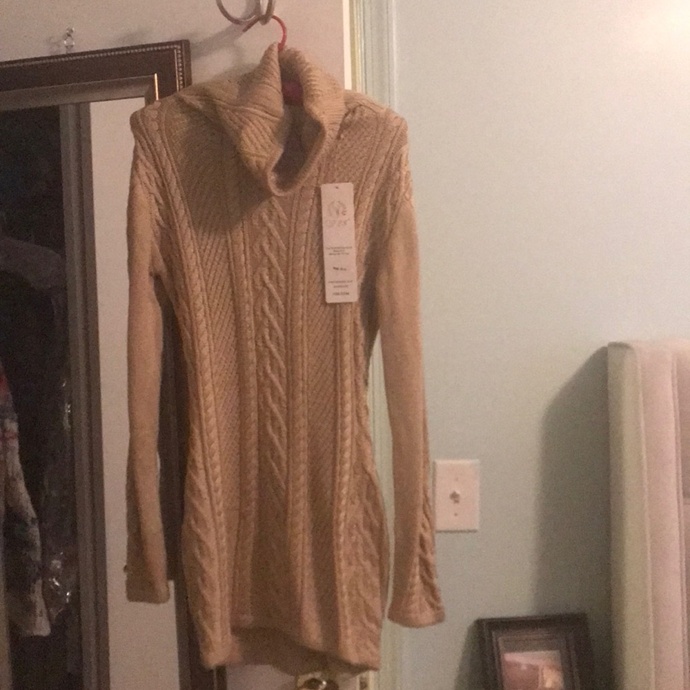 Turtle neck sweater dress
